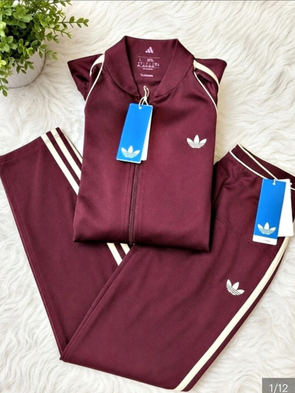 adidas Sport Superstar Burgundy Track Jacket & 7/8 Leggings